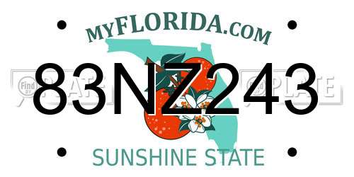 83NZ243 Florida License Plate