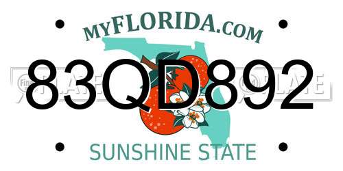 83QD892 Florida License Plate