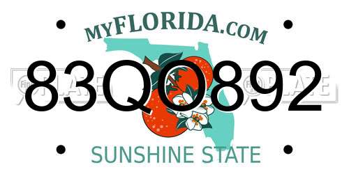 83QO892 Florida License Plate