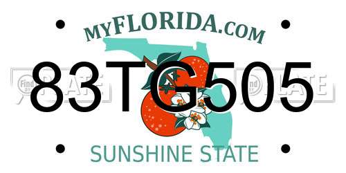 83TG505 Florida License Plate