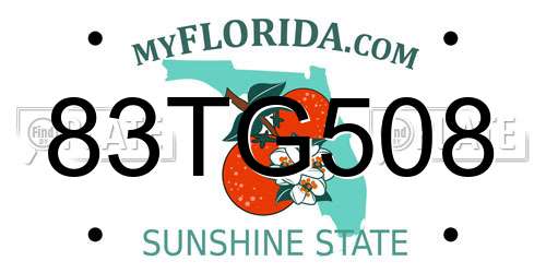 83TG508 Florida License Plate
