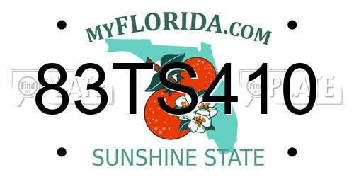 83TS410 Florida License Plate