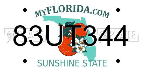 83UT344 Florida License Plate
