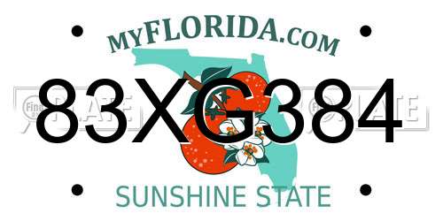 83XG384 Florida License Plate