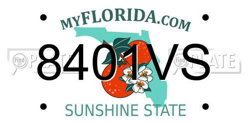 8401VS Florida License Plate