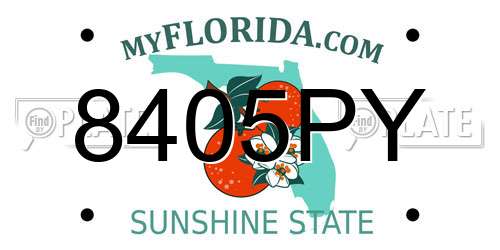 8405PY Florida License Plate