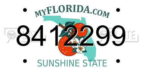 8412299 Florida License Plate