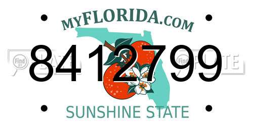 8412799 Florida License Plate