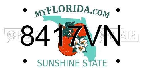 8417VN Florida License Plate