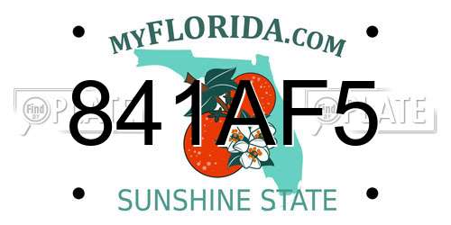 841AF5 Florida License Plate