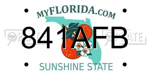841AFB Florida License Plate