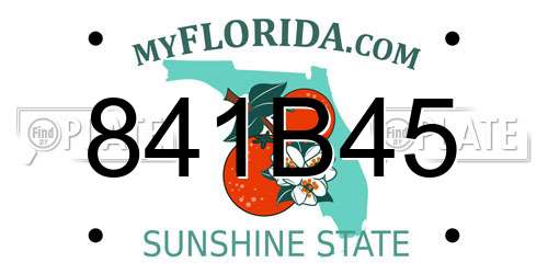 841B45 Florida License Plate