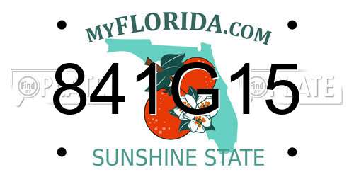 841G15 Florida License Plate