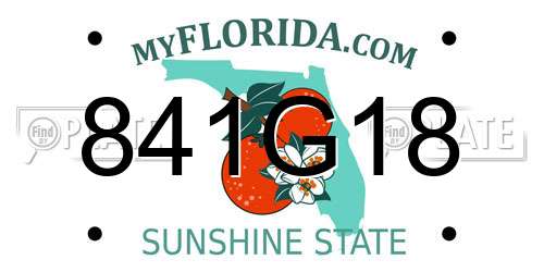 841G18 Florida License Plate