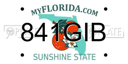 841GIB Florida License Plate