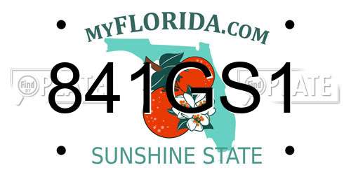 841GS1 Florida License Plate