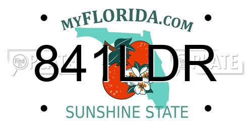 841LDR Florida License Plate