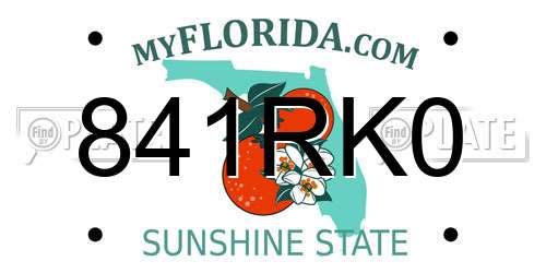 841RK0 Florida License Plate