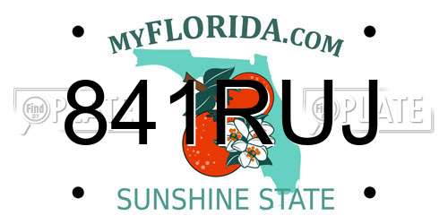 841RUJ Florida License Plate