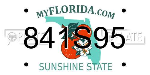 841S95 Florida License Plate