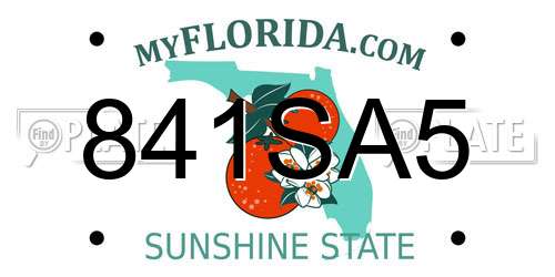 841SA5 Florida License Plate