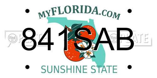 841SAB Florida License Plate