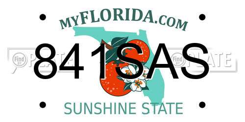 841SAS Florida License Plate