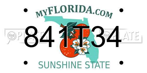 841T34 Florida License Plate