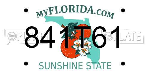 841T61 Florida License Plate