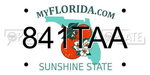 841TAA Florida License Plate