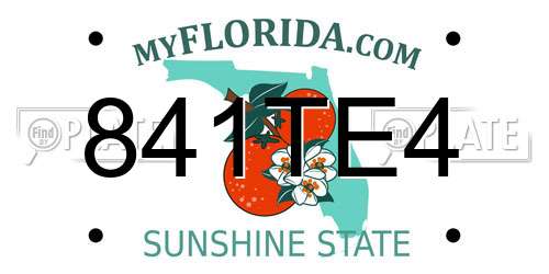 841TE4 Florida License Plate