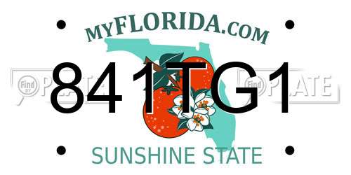 841TG1 Florida License Plate