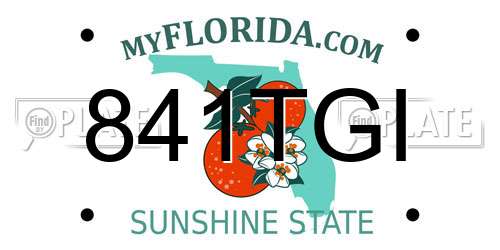 841TGI Florida License Plate