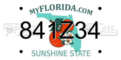 841Z34 Florida License Plate