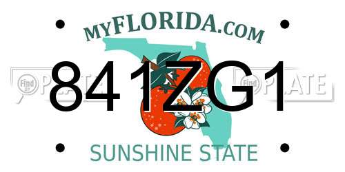 841ZG1 Florida License Plate