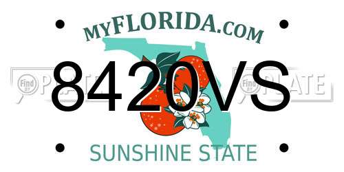 8420VS Florida License Plate