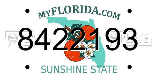 8422193 Florida License Plate