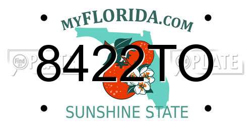 8422TO Florida License Plate