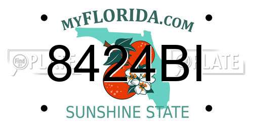 8424BI Florida License Plate