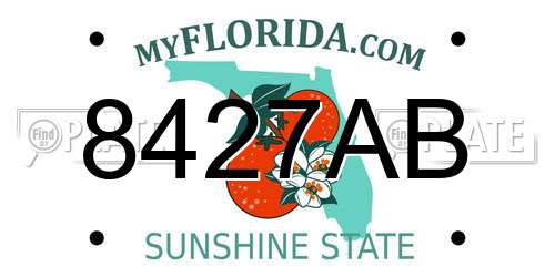 8427AB Florida License Plate