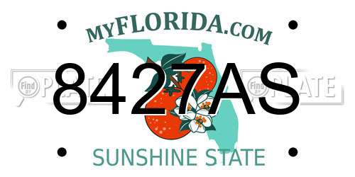 8427AS Florida License Plate