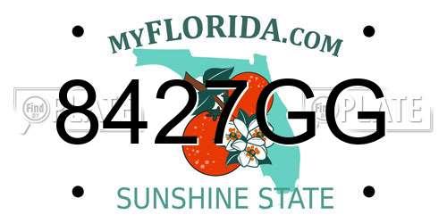 8427GG Florida License Plate
