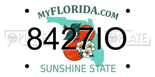 8427IO Florida License Plate