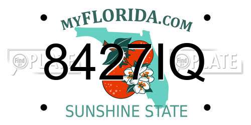 8427IQ Florida License Plate