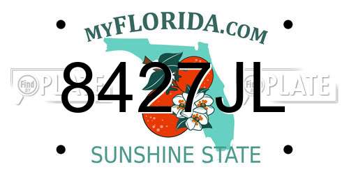 8427JL Florida License Plate