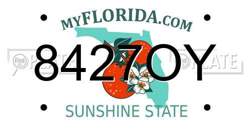 8427OY Florida License Plate