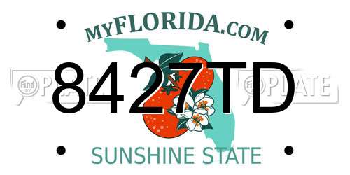 8427TD Florida License Plate