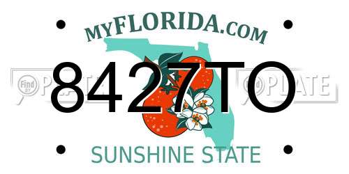 8427TO Florida License Plate