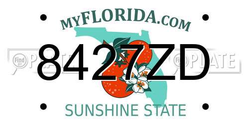 8427ZD Florida License Plate