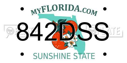 842DSS Florida License Plate